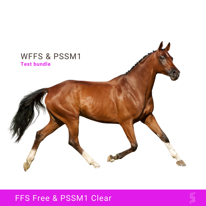 WFFS/FFS & PSSM1 - DNA Test bundle