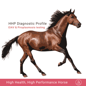 High Health High Performance Horse Profile