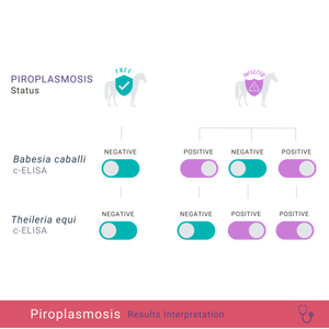 Equine Piroplasmosis cELISA