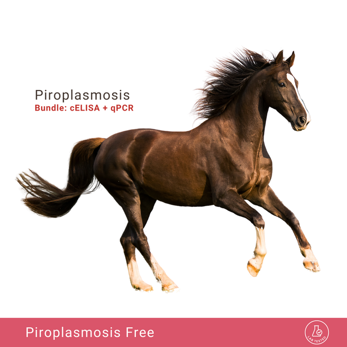 Equine Piroplasmosis Bundle: cELISA & qPCR