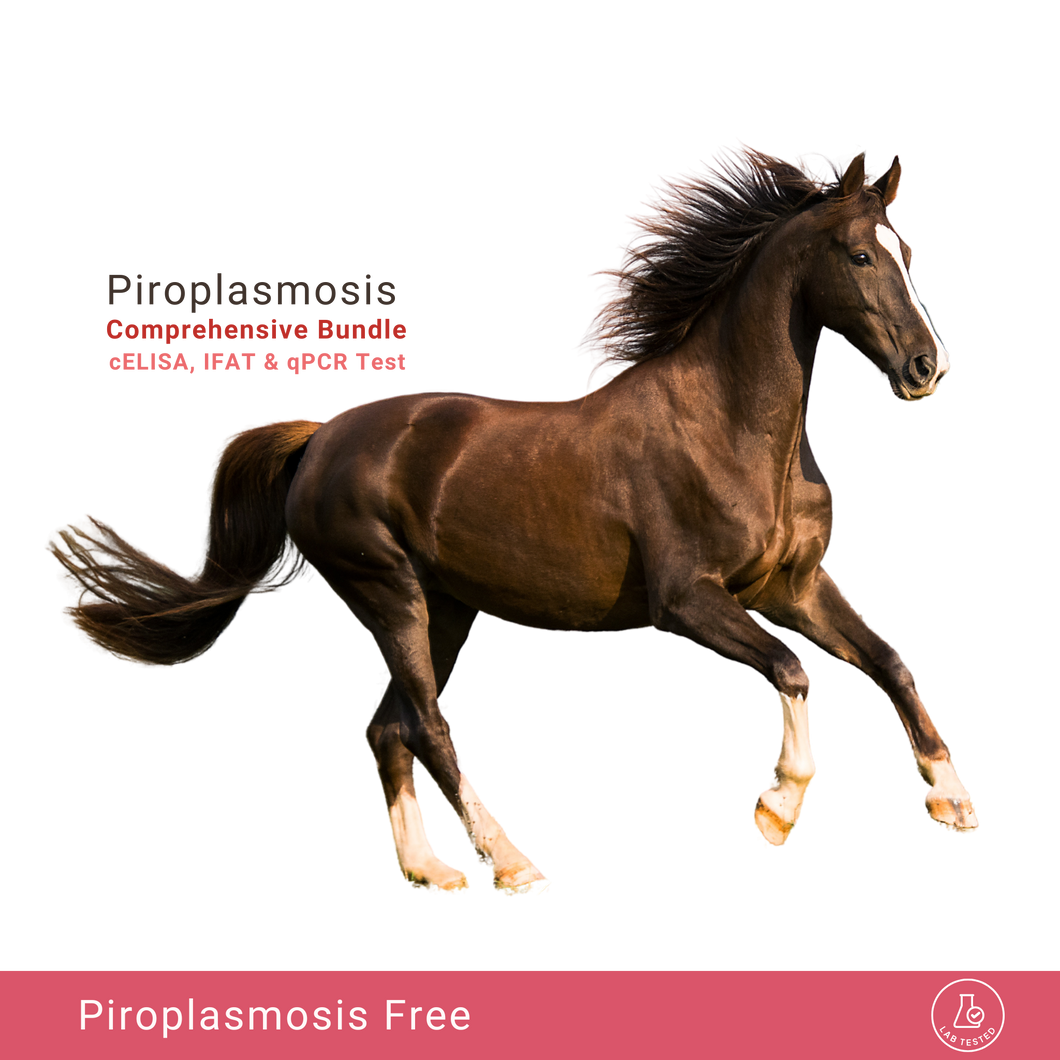 Equine Piroplasmosis Comprehensive Bundle: cELISA, IFAT & qPCR