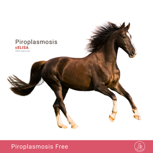 Equine Piroplasmosis cELISA