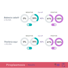 Cargar imagen en el visor de la galería, Equine Piroplasmosis Comprehensive Bundle: cELISA, IFAT &amp; qPCR