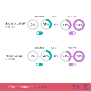 Equine Piroplasmose-Paket: cELISA &amp; qPCR 