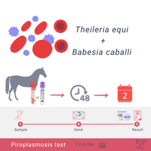 Cargar imagen en el visor de la galería, Equine Piroplasmosis Comprehensive Bundle: cELISA, IFAT &amp; qPCR