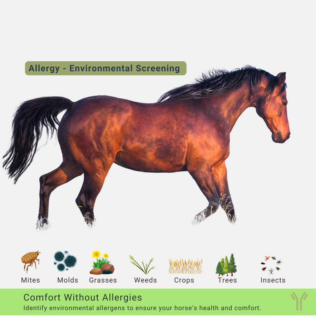 Test d'allergie ALLERCEPT® - 24 allergènes de cheval