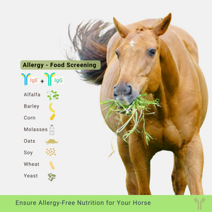 Allergy test for food allergens