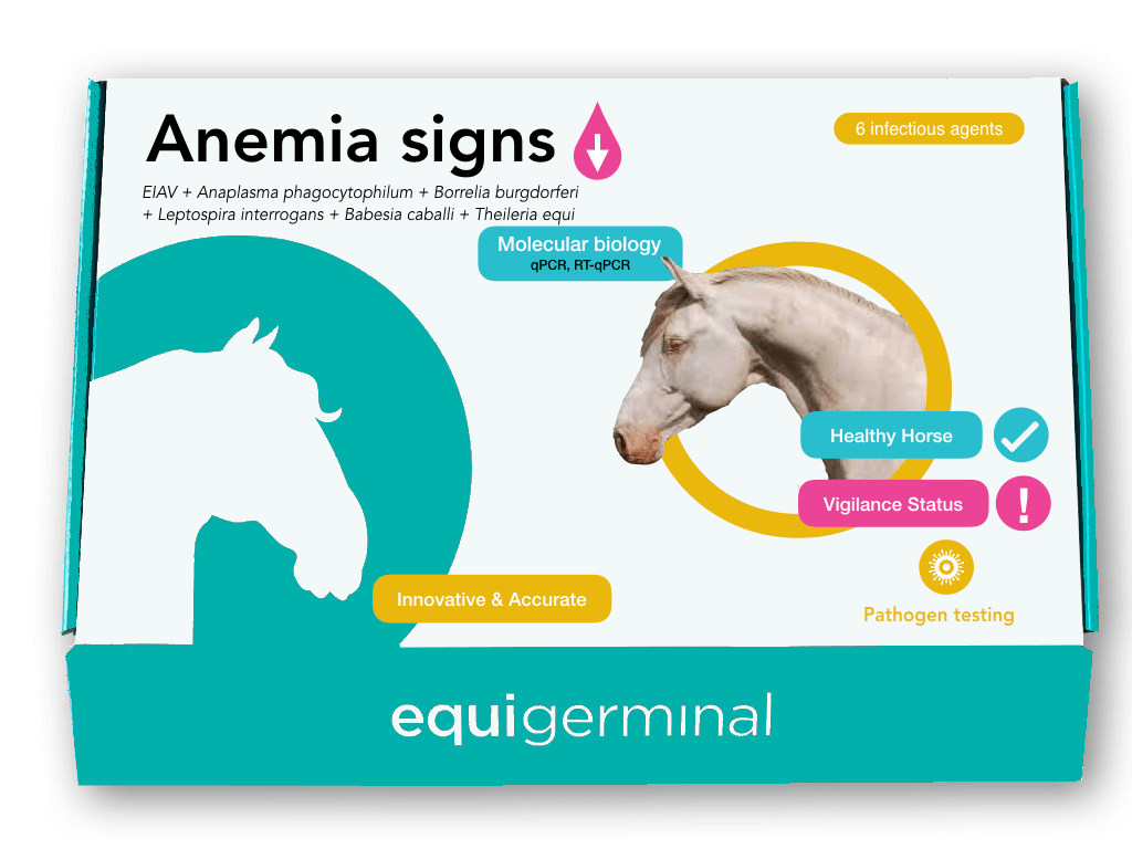 Anemia - Pathogen screening panel - Equigerminal