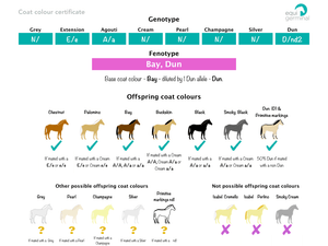 Coat colour profile - Equigerminal