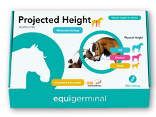 Indlæs billede i gallerifremviser, Projected Height test - LCORL/NCAPG - Equigerminal