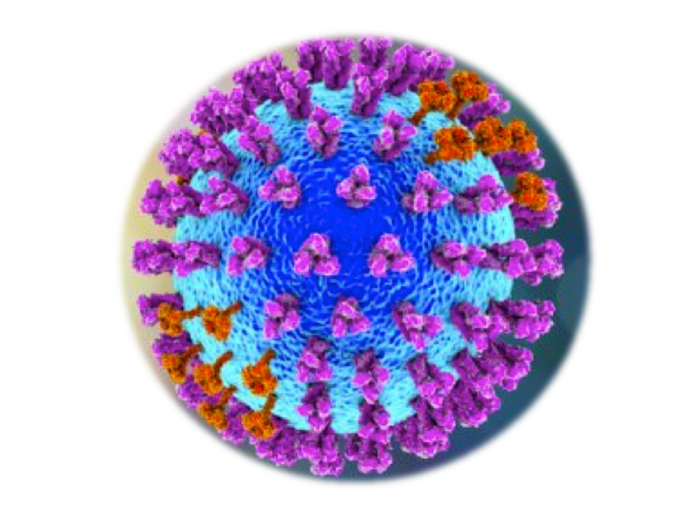 Equine Influenza A, ELISA - Equigerminal