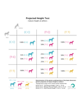 Indlæs billede i gallerifremviser, Projected Height test - LCORL/NCAPG - Equigerminal